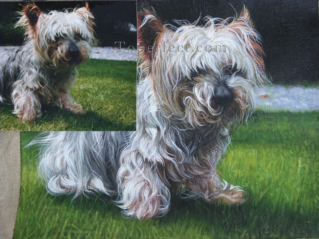 imd024 puppy portrait Oil Paintings